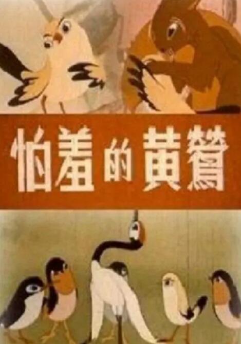 91高清在线看